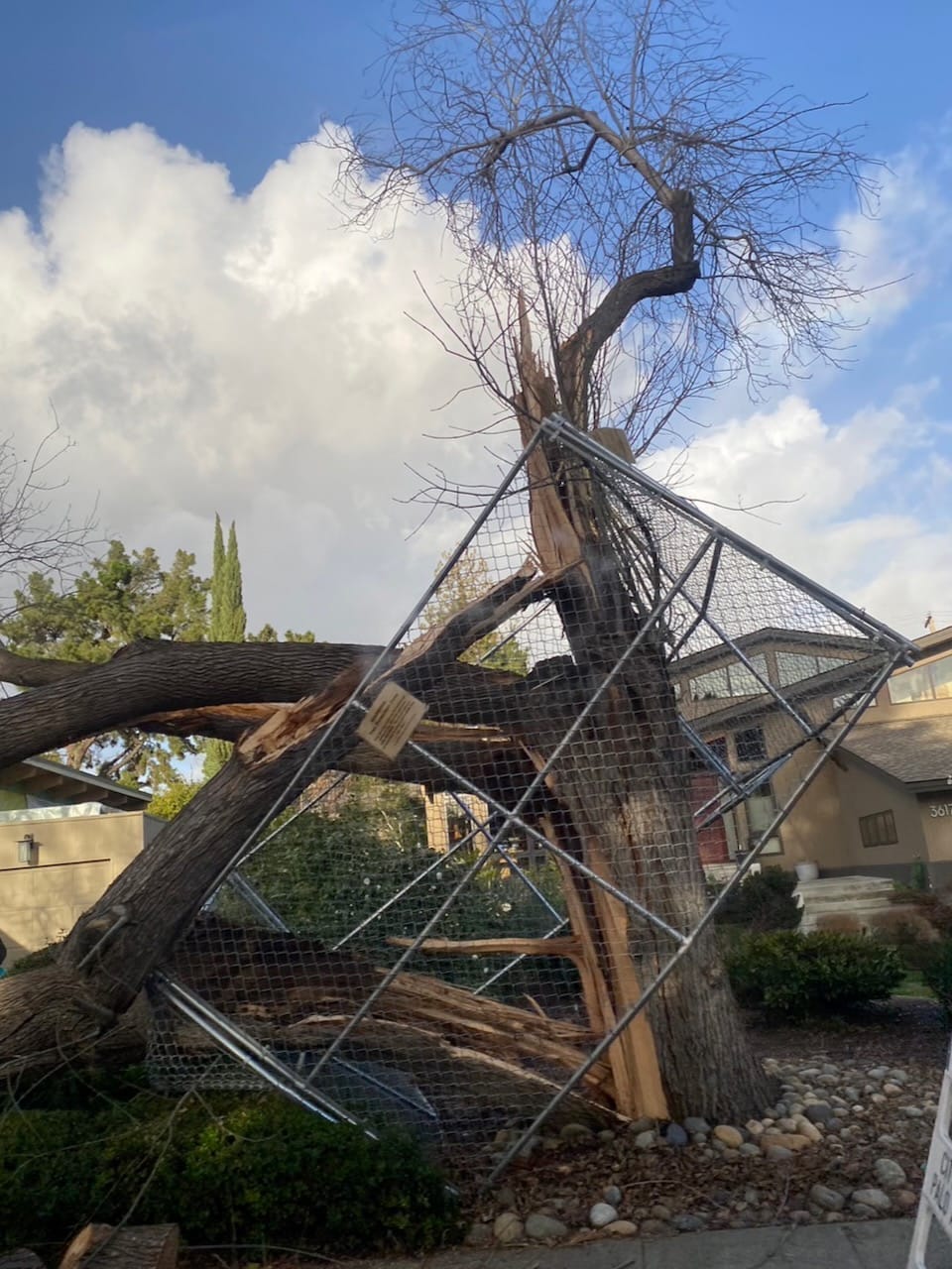 Storm in the Bay Area