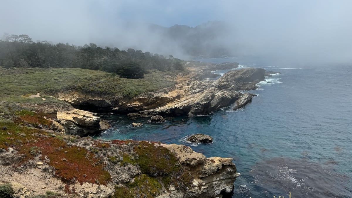 Point Lobos